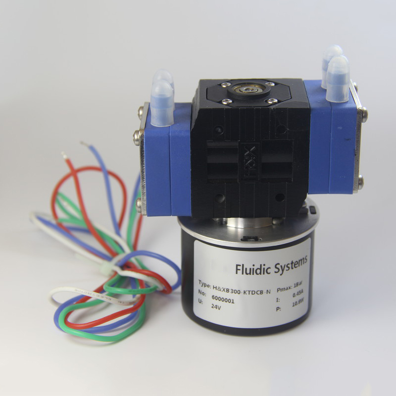 HX300-DCB5(DUAL) Dual Head Speed Adjust 12 Volt Mini Water Pump Small Ink Pump Electrical Diaphragm Pump Fluid Transfer 