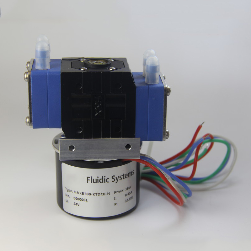 HX300-DCB5(DUAL) Dual Head Speed Adjust 12 Volt Mini Water Pump Small Ink Pump Electrical Diaphragm Pump Fluid Transfer 