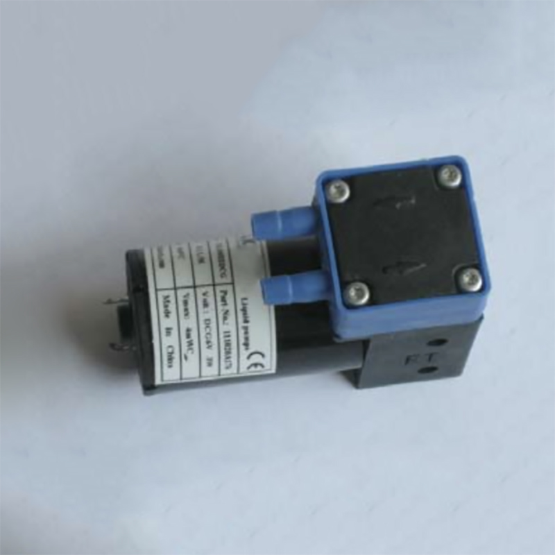 DL100EEGDC 12V/24V Electrical Mini Water Pump Small Diaphragm Pump Ink Pump