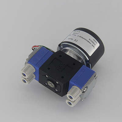 HXB600 1.4L/m PTFE Diaphragm Brushless Motor Miniature Diaphragm Water Pumps Liquid Pumps Printing Systems 